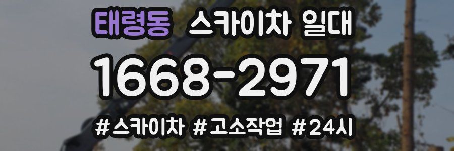 태령동 스카이차 일대