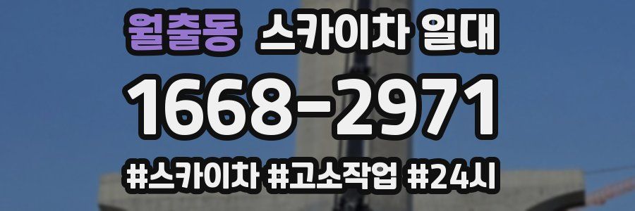 월출동 스카이차 일대
