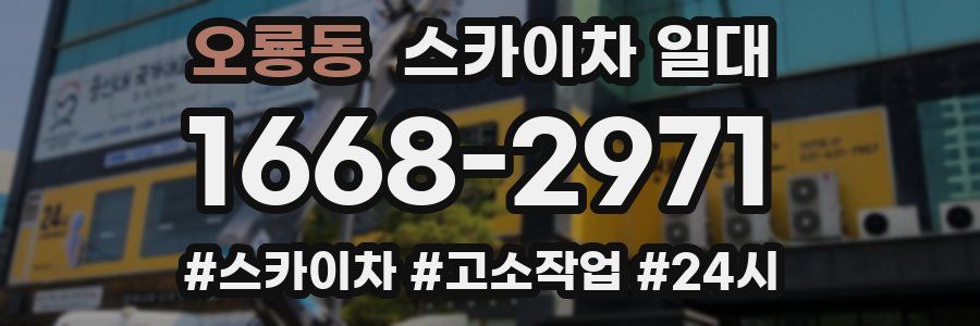 오룡동 스카이차 일대