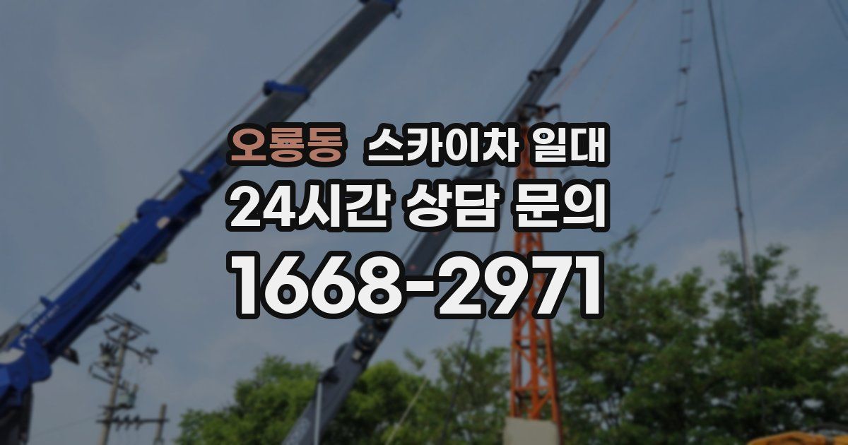 오룡동 스카이차 일대