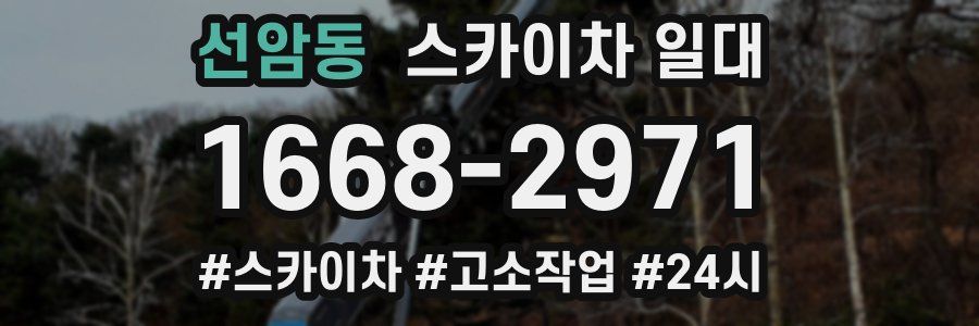 선암동 스카이차 일대