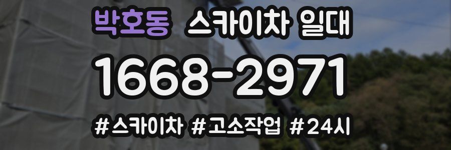 박호동 스카이차 일대