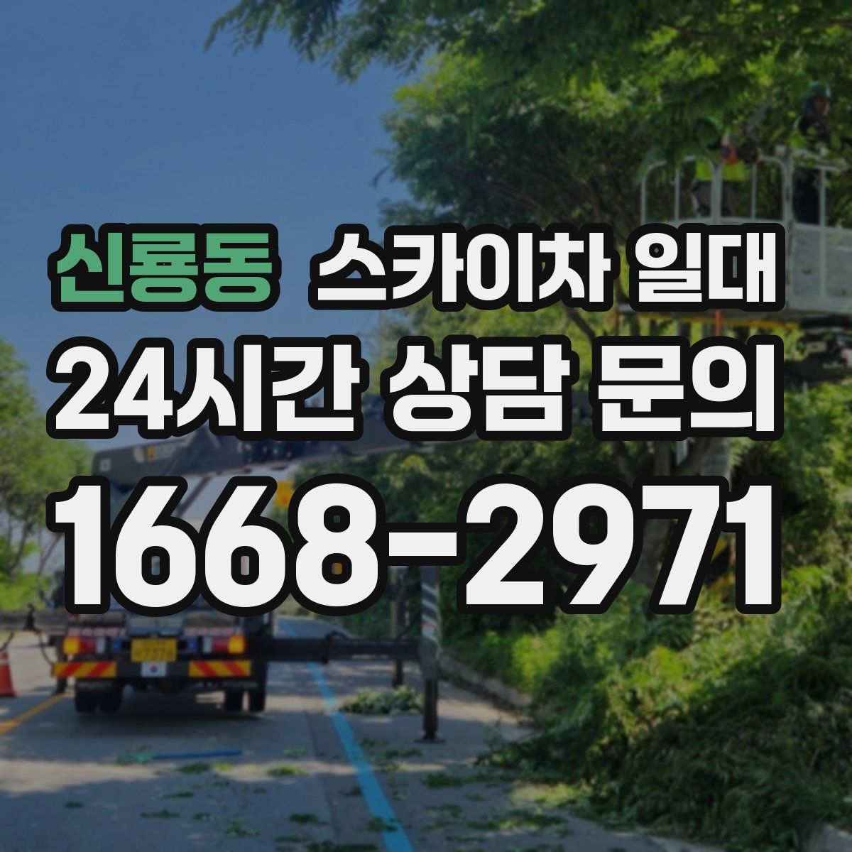 신룡동 스카이차 일대