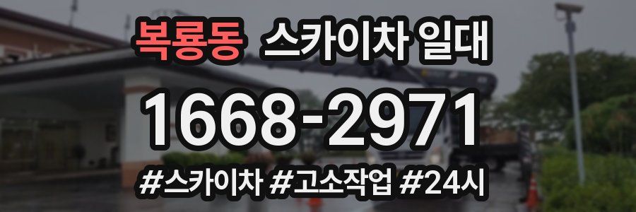 복룡동 스카이차 일대