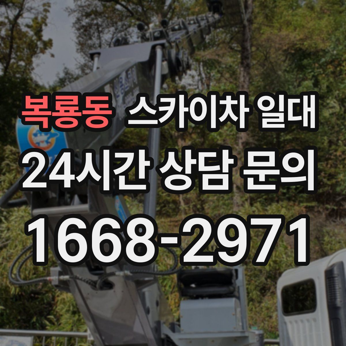 복룡동 스카이차 일대