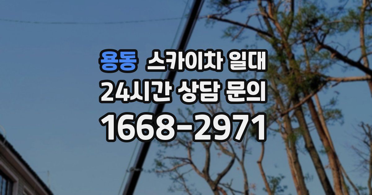 용동 스카이차 일대