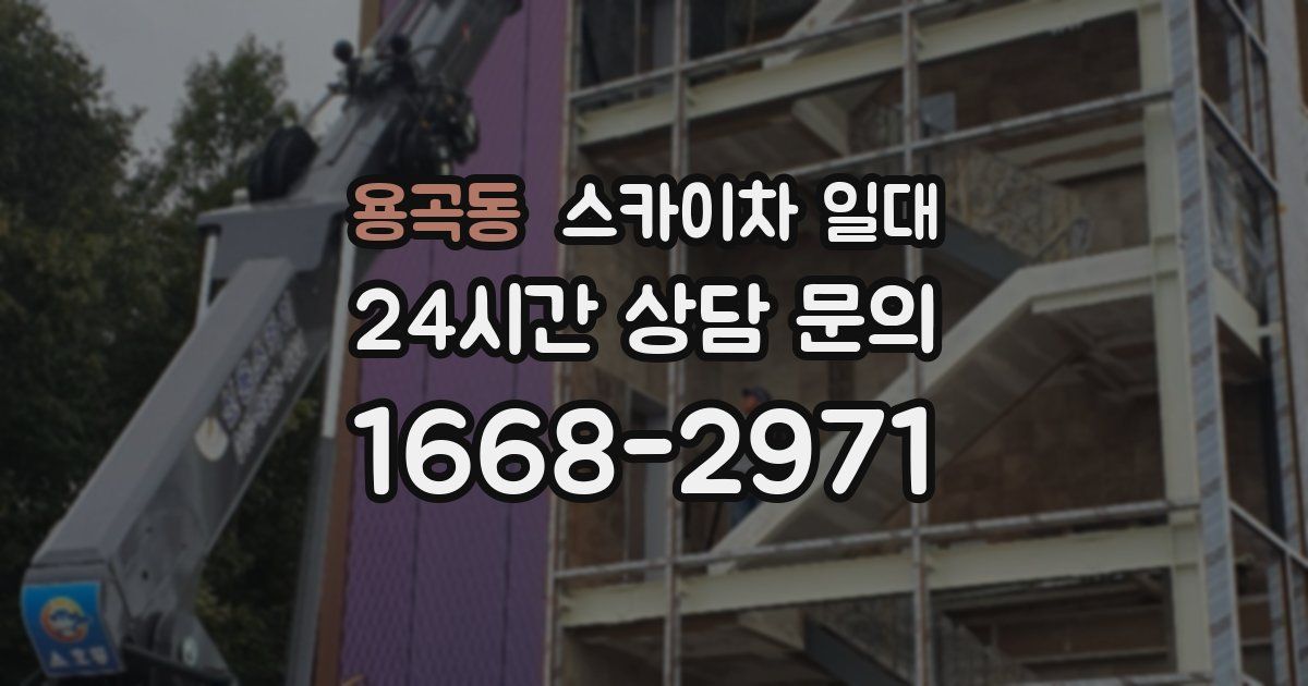 용곡동 스카이차 일대