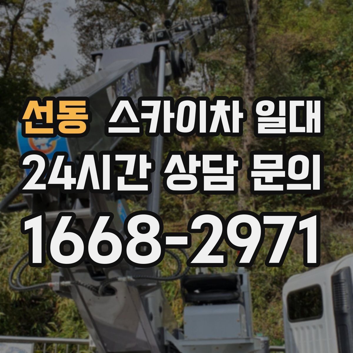 선동 스카이차 일대