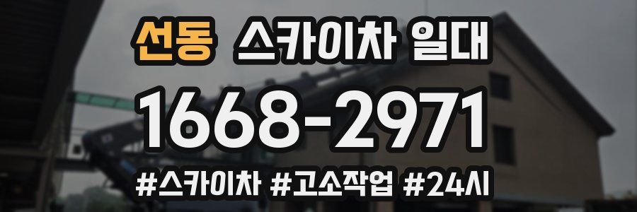 선동 스카이차 일대