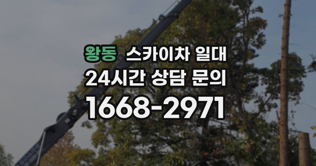 왕동 스카이차 일대