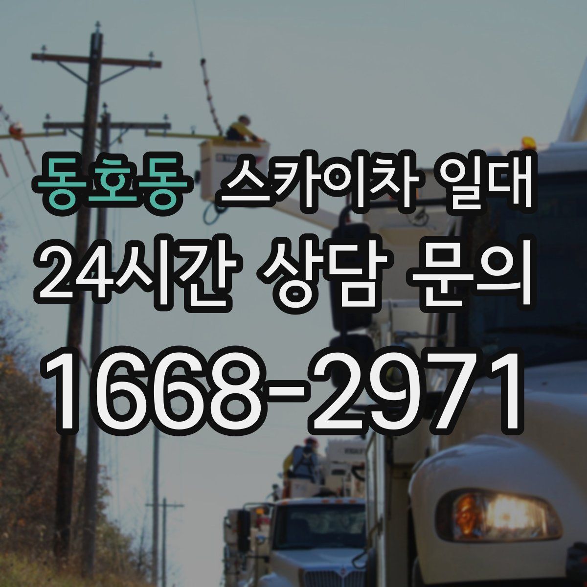 동호동 스카이차 일대