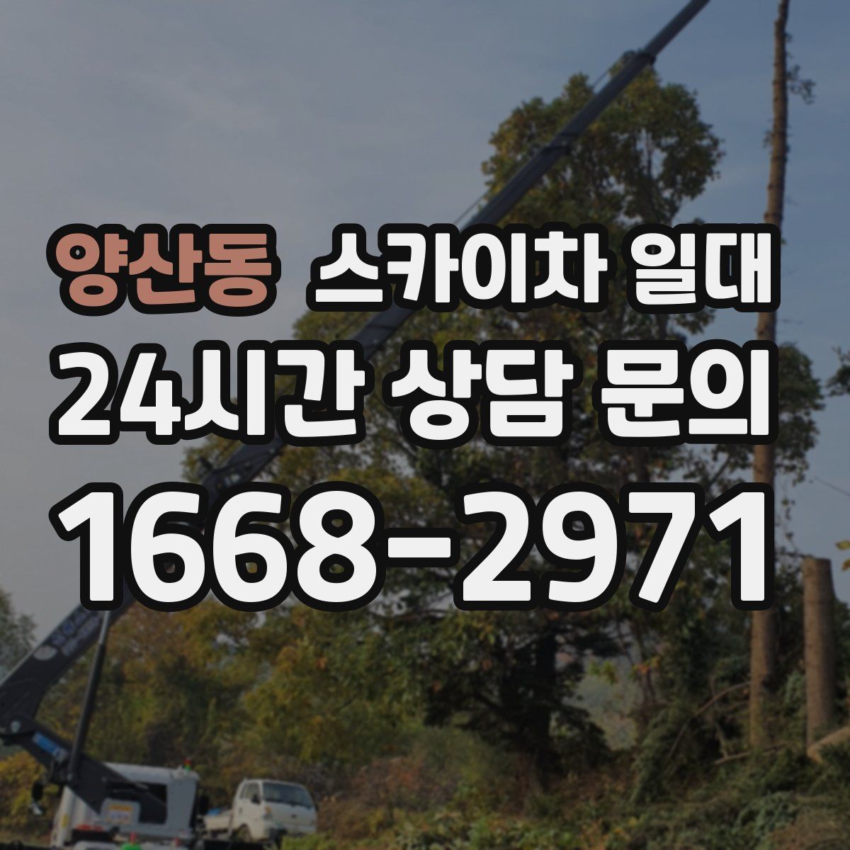 양산동 스카이차 일대