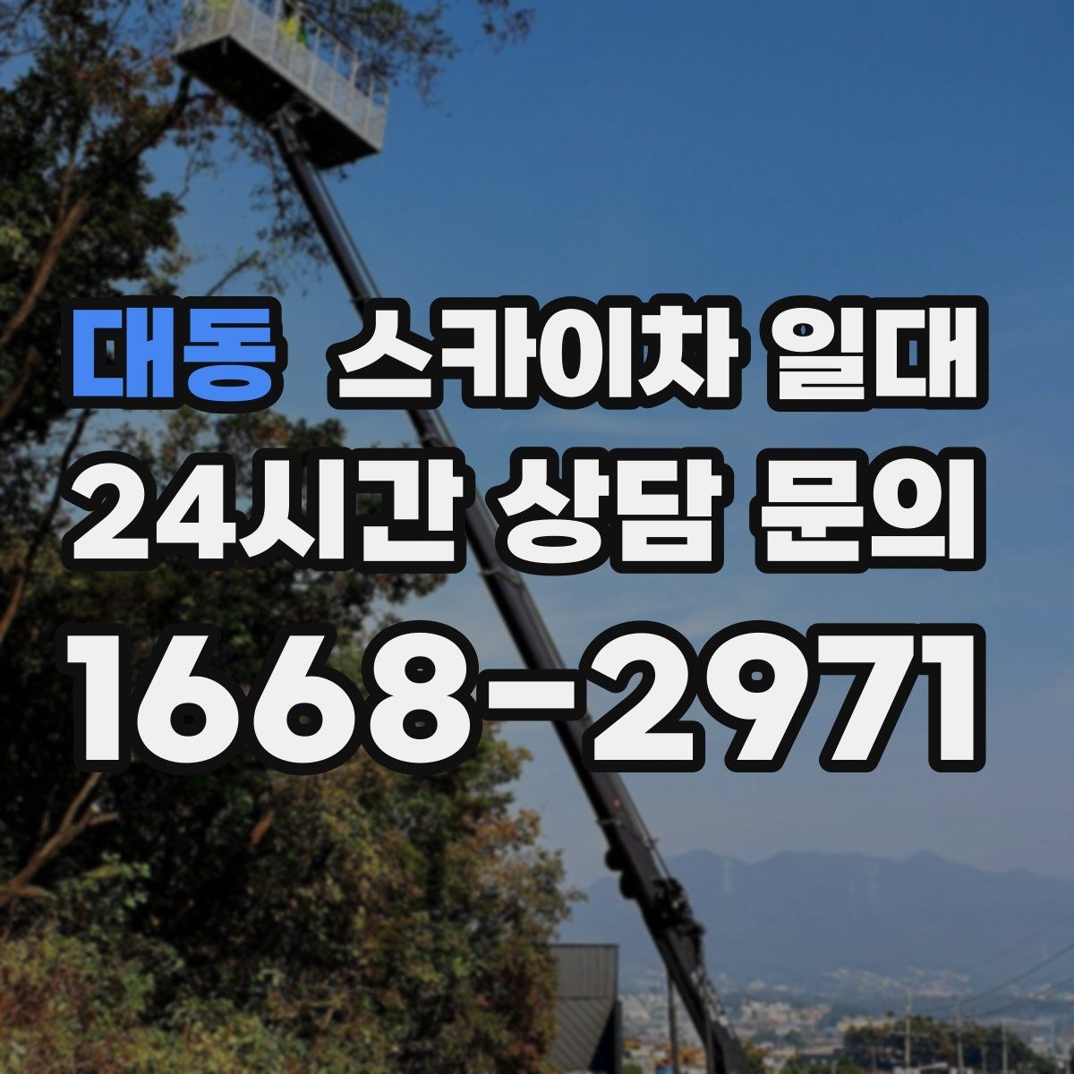 대동 스카이차 일대 업체 선택 전에 비교할 항목