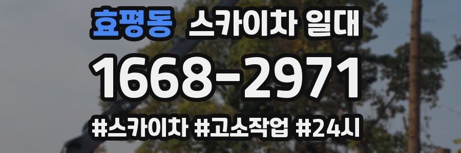 효평동 스카이차 일대