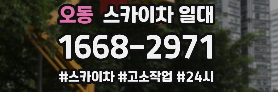 오동 스카이차 일대