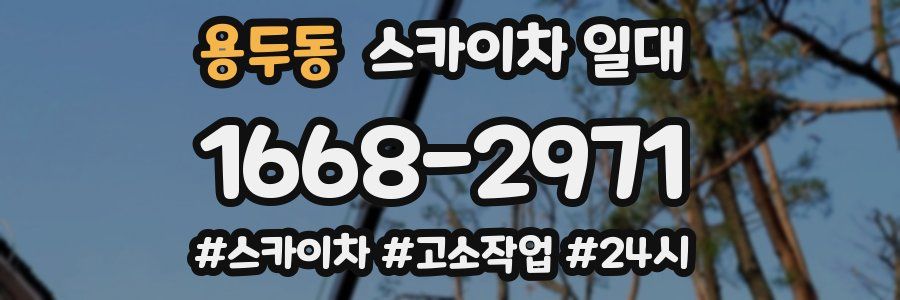용두동 스카이차 일대