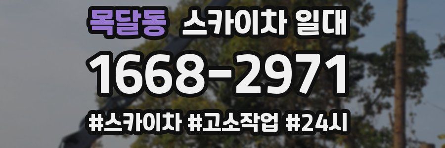 목달동 스카이차 일대