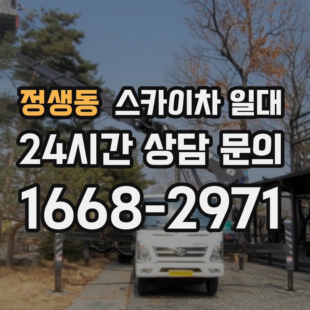 정생동 스카이차 일대