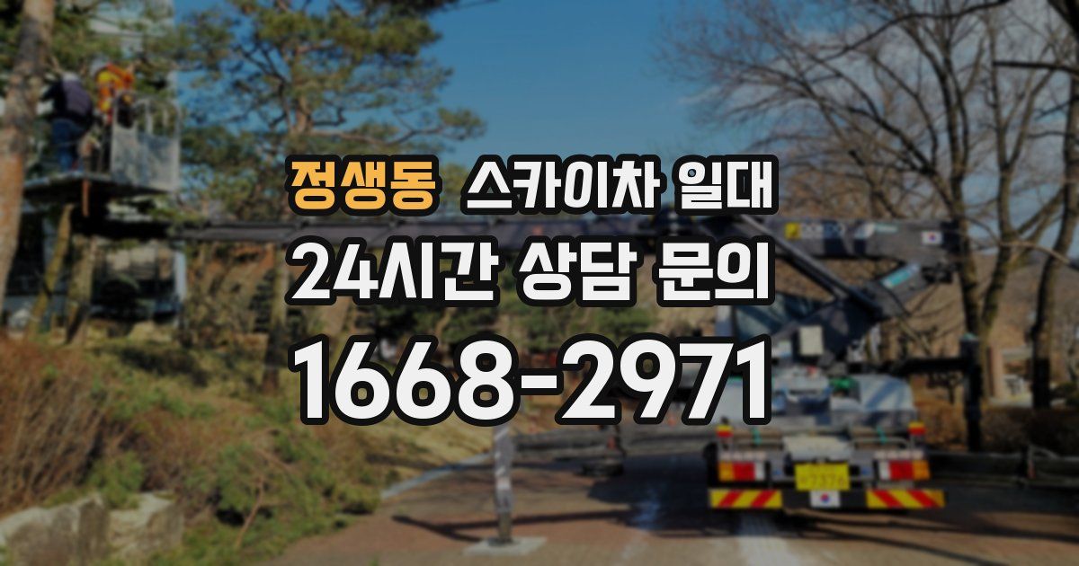 정생동 스카이차 일대