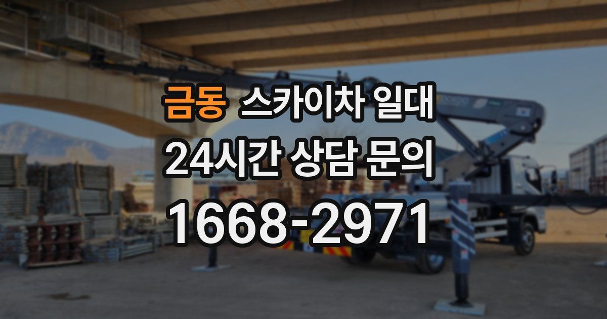 금동 스카이차 일대