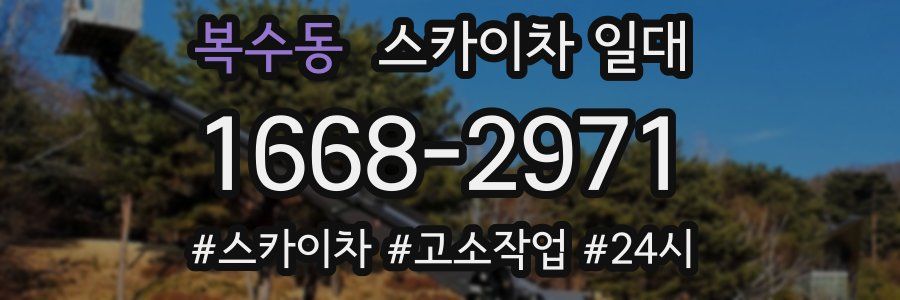 복수동 스카이차 일대