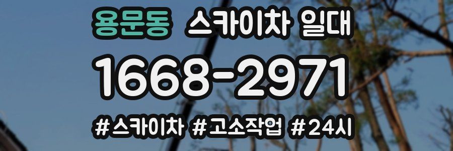 용문동 스카이차 일대