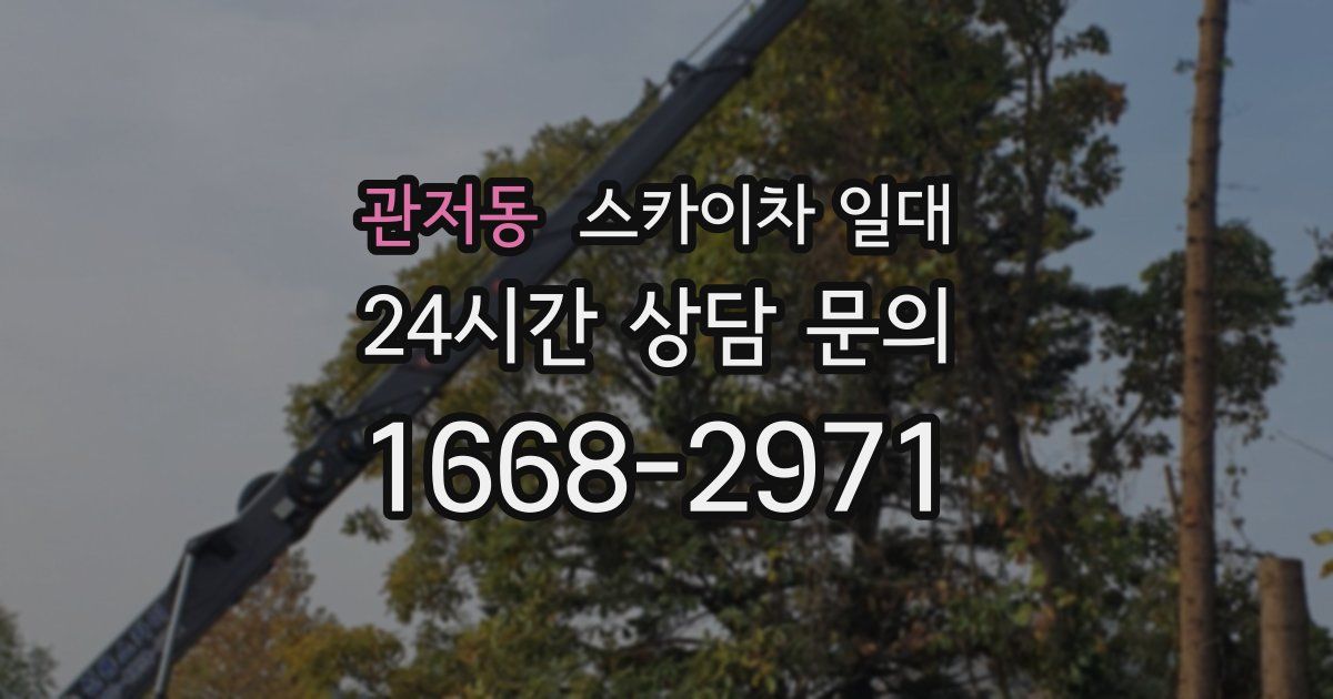 관저동 스카이차 일대