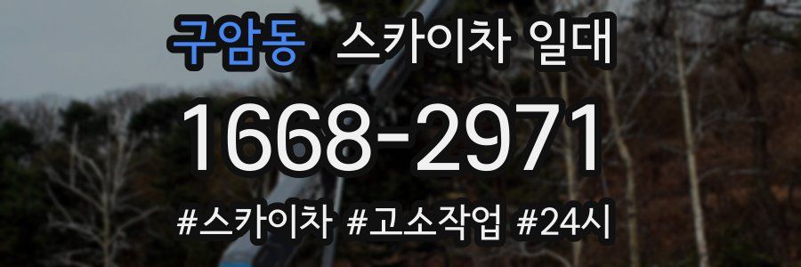 구암동 스카이차 일대