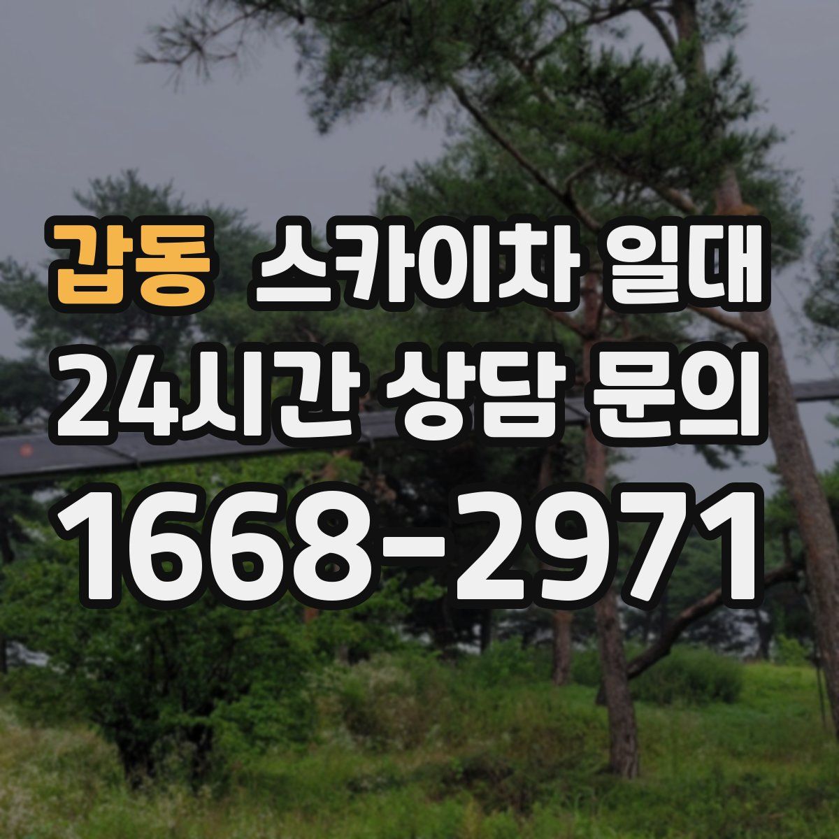 갑동 스카이차 일대