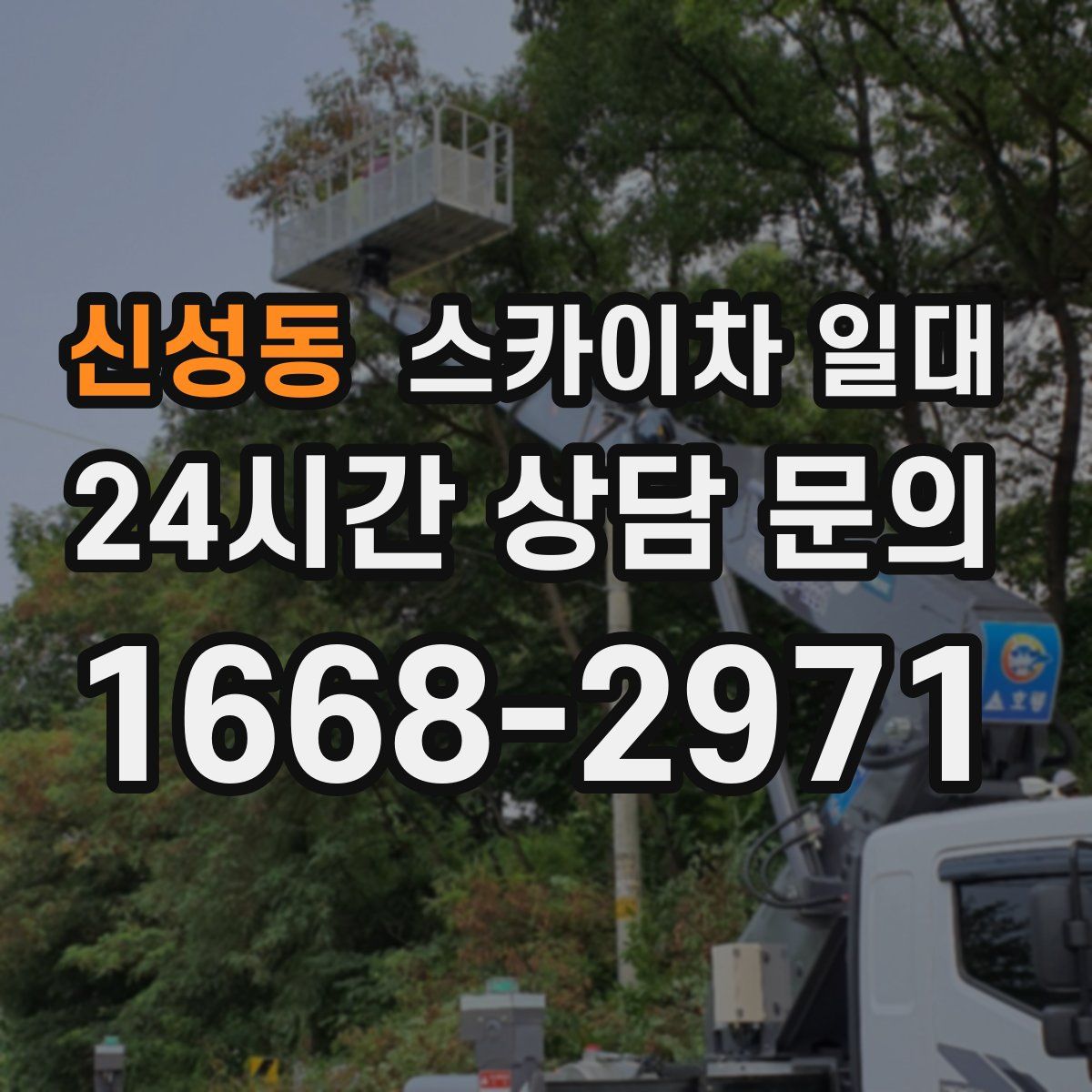 신성동 스카이차 일대