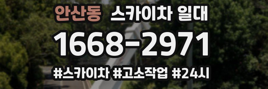 안산동 스카이차 일대