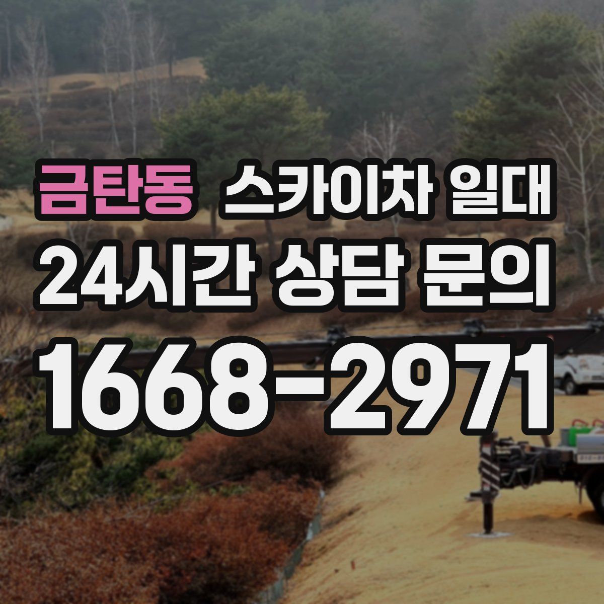 금탄동 스카이차 일대