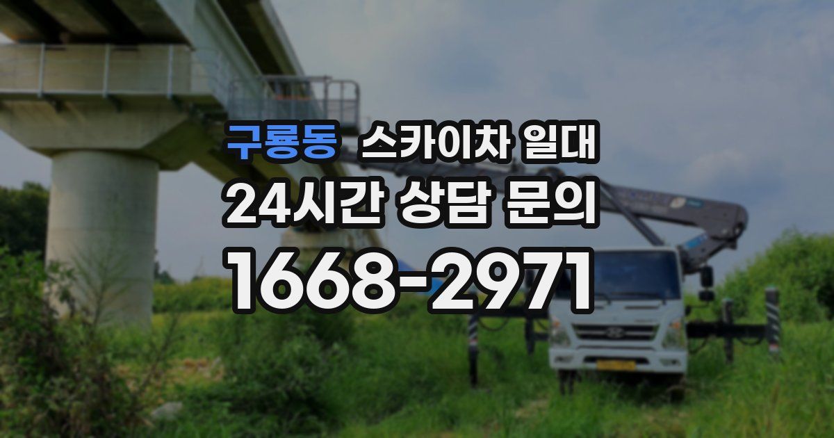 구룡동 스카이차 일대