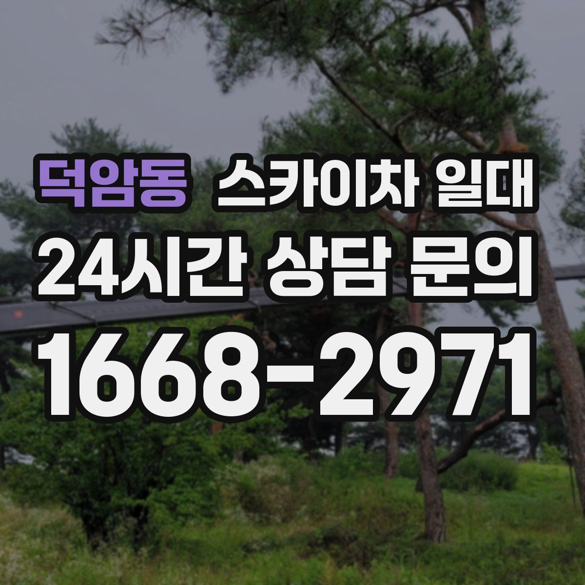 덕암동 스카이차 일대