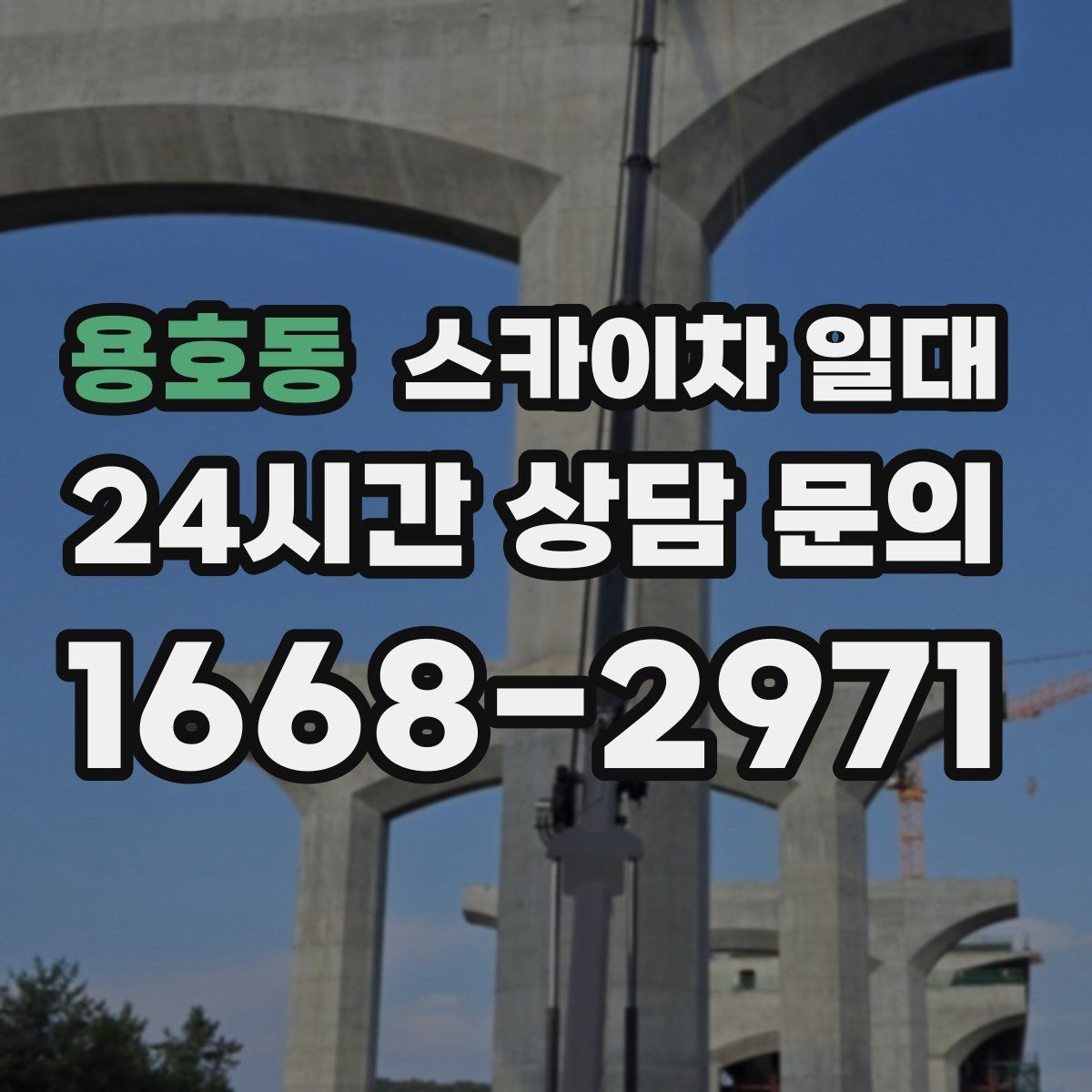 용호동 스카이차 일대