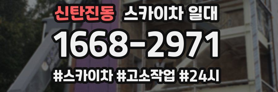 신탄진동 스카이차 일대