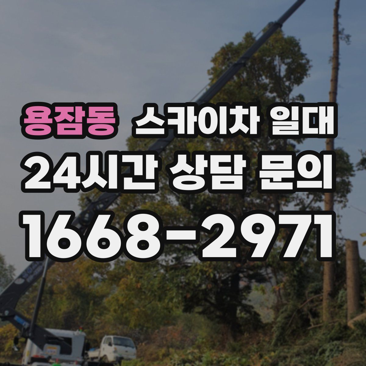 용잠동 스카이차 일대