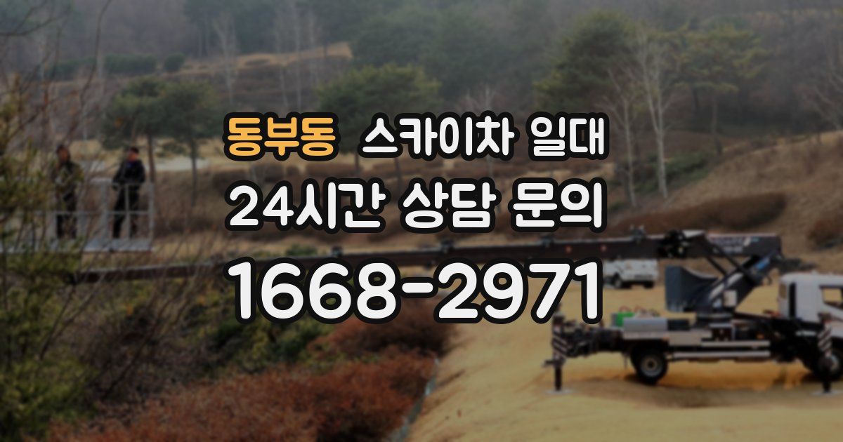 동부동 스카이차 일대