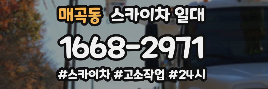 매곡동 스카이차 일대