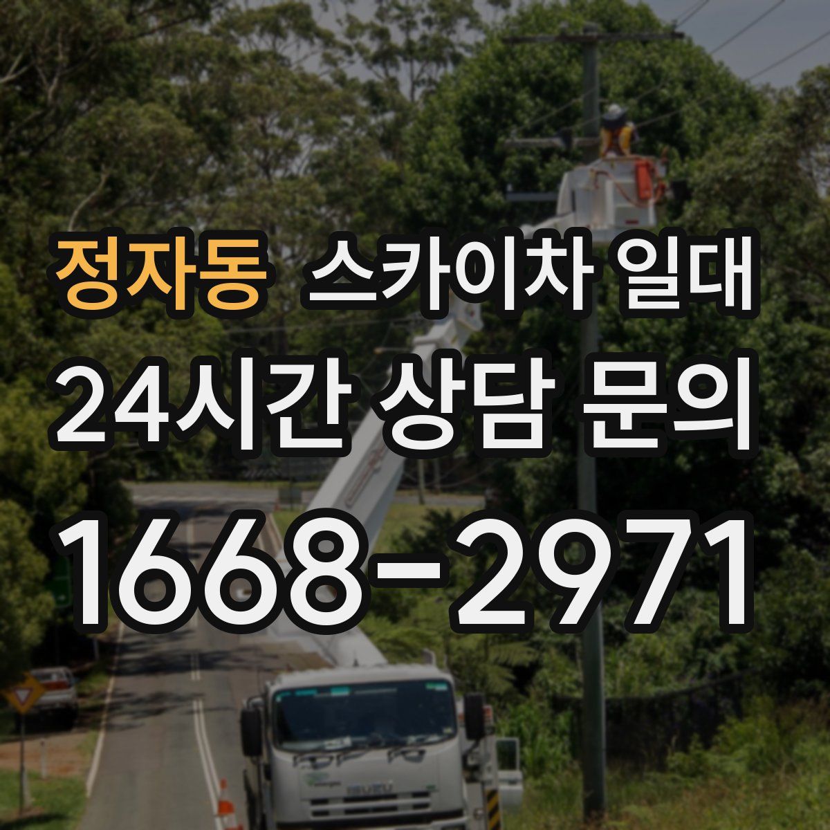 정자동 스카이차 일대