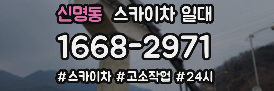 신명동 스카이차 일대