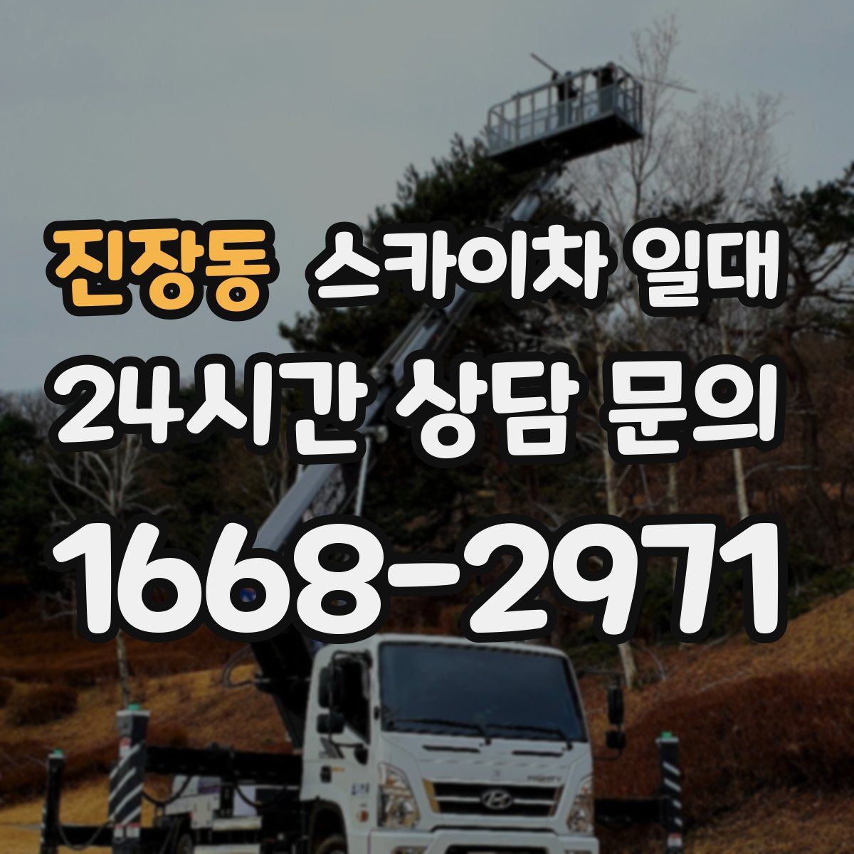 진장동 스카이차 일대