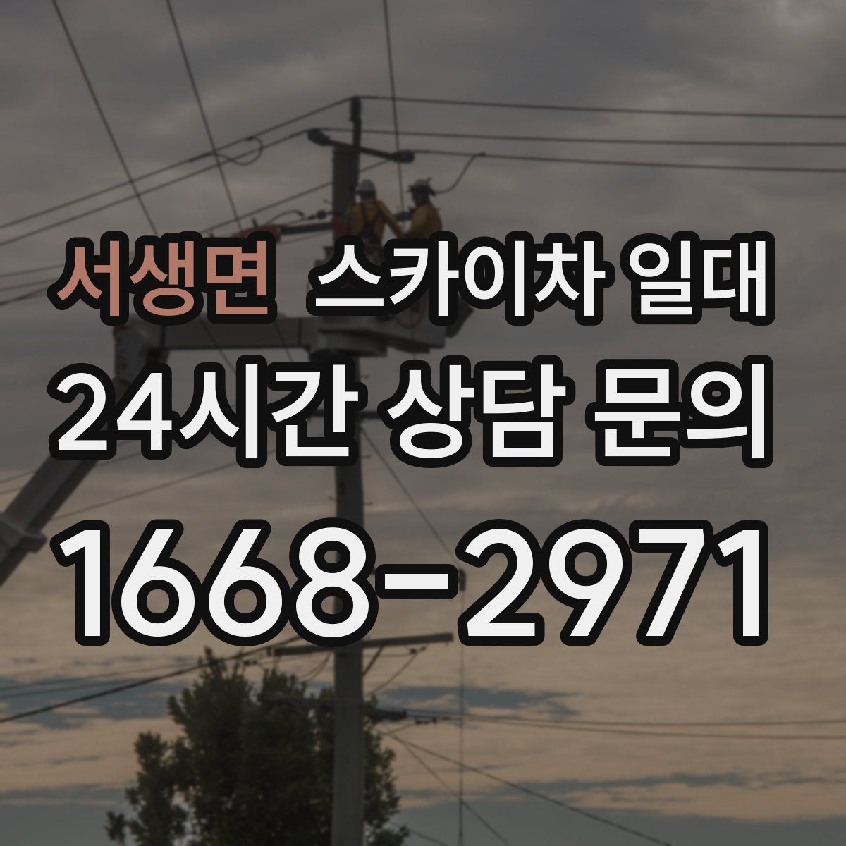 서생면 스카이차 일대