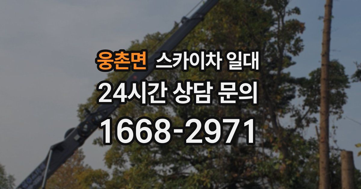 웅촌면 스카이차 일대