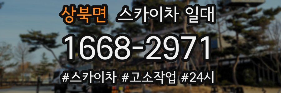 상북면 스카이차 일대