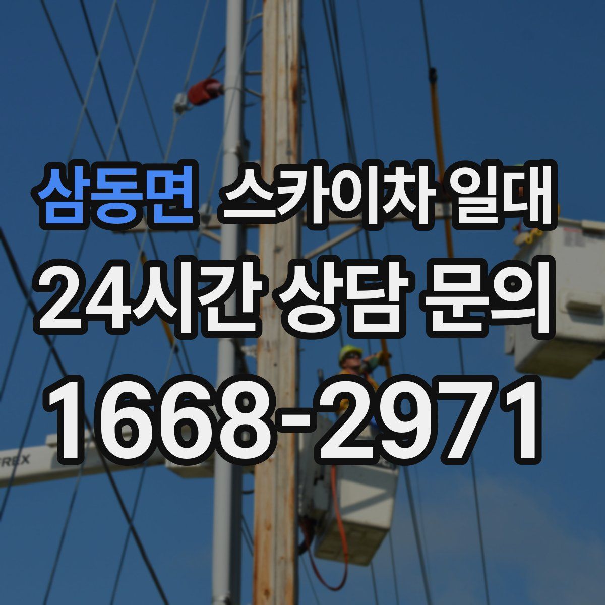 삼동면 스카이차 일대