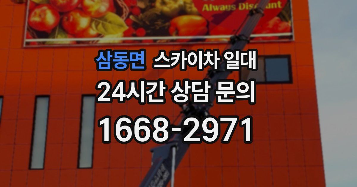 삼동면 스카이차 일대