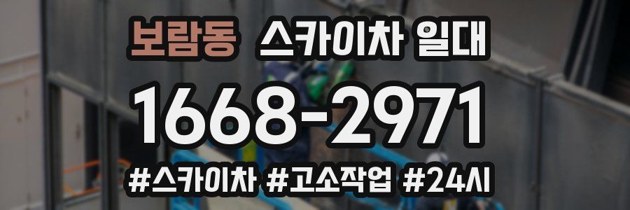 보람동 스카이차 일대