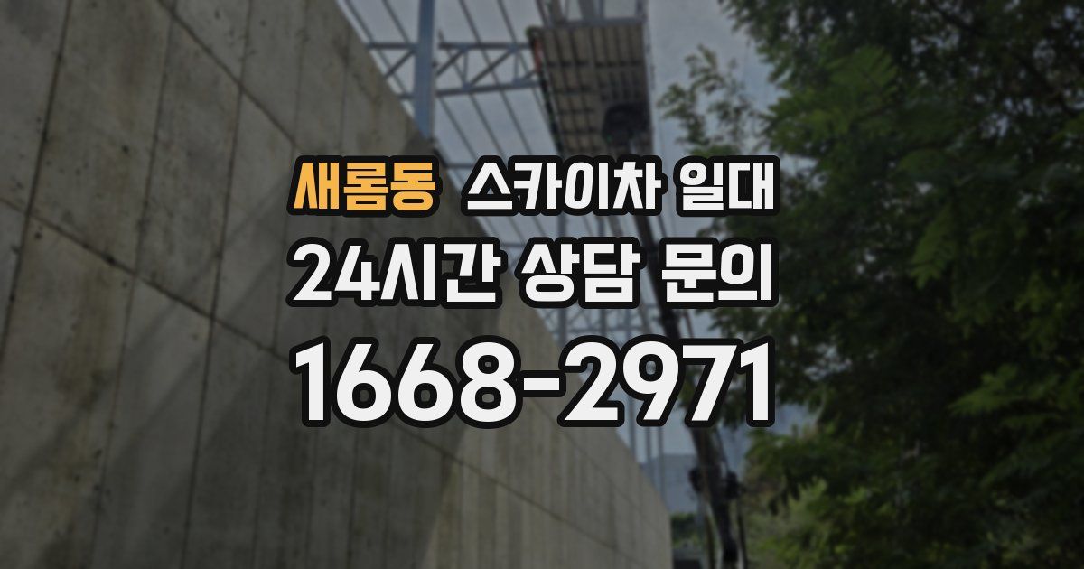 새롬동 스카이차 일대