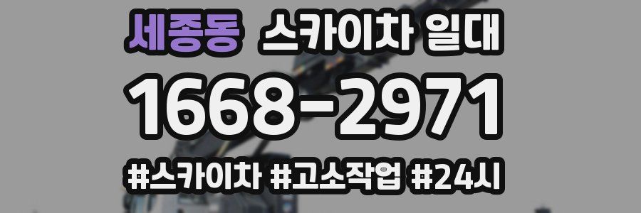 세종동 스카이차 일대